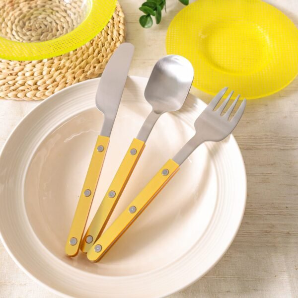French Dopamine Acrylic Handle Cutlery Set | Yedwo Design
